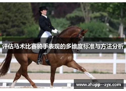 评估马术比赛骑手表现的多维度标准与方法分析