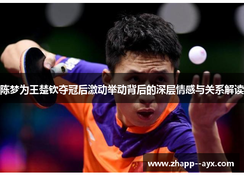 陈梦为王楚钦夺冠后激动举动背后的深层情感与关系解读